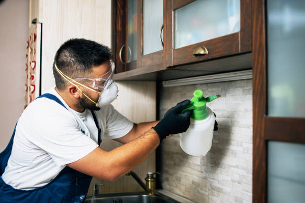 Best Best Pest Control Companies  in Rancho Tehama Reserve, CA
