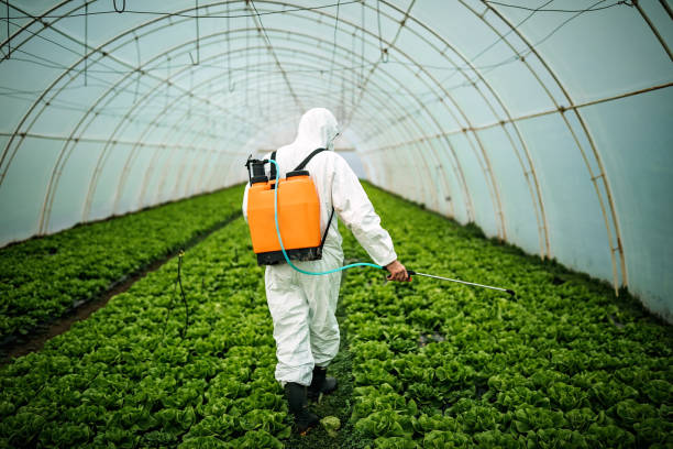 Best Exterminator Services  in Rancho Tehama Reserve, CA