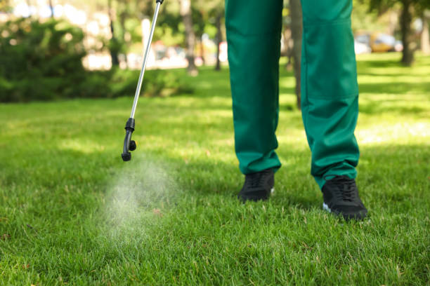 Best Emergency Pest Control  in Rancho Tehama Reserve, CA