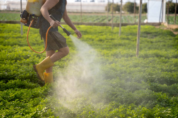 Trusted Rancho Tehama Reserve, CA Pest Control Experts