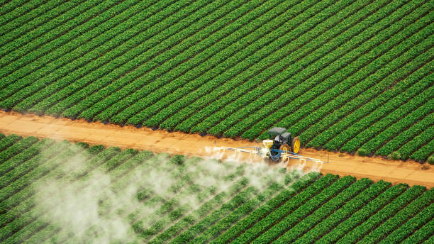 Best Pest Removal Services  in Rancho Tehama Reserve, CA