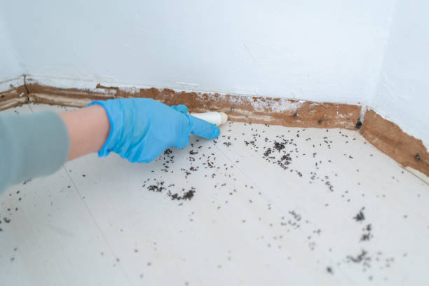 Rancho Tehama Reserve, CA Pest Control Pros