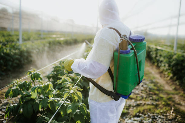 Best Residential Pest Control  in Rancho Tehama Reserve, CA